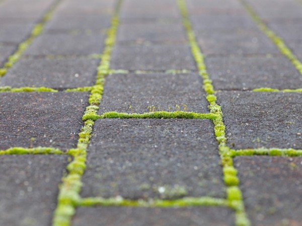 Pressure cleaning pavers